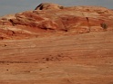 DSC02406
