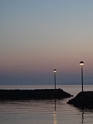 DSC02946