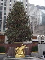 DSC03609