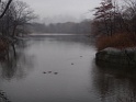 DSC04055