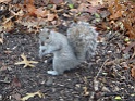 DSC04059