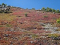 DSC01669