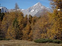 DSC02925