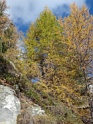 DSC02931