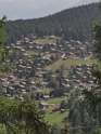 DSC01395