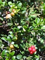 DSC01409