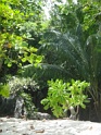 DSC04793