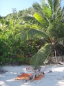 DSC04809