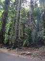 DSC04864