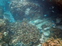 P4010010