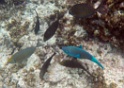 P4010035