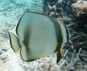 P4010049
