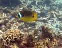 P4010052