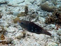 P4010056
