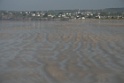 IMG_8453