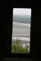 IMG_8902