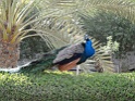 DSC05167