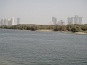 DSC05210