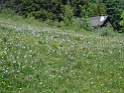 DSC05536
