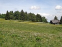 DSC05537