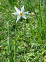 DSC05538
