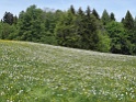 DSC05544