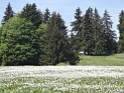 DSC05547