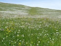 DSC05553