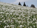 DSC05567