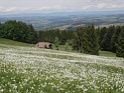 DSC05569