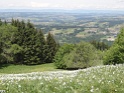 DSC05580