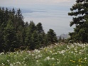 DSC05595