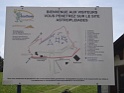 DSC05599