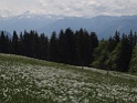 DSC05606