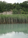 DSC06042
