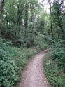 DSC06044