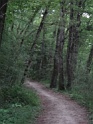 DSC06046