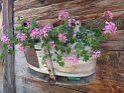 DSC05645