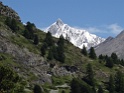 DSC06401