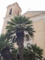 DSC07265