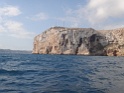 DSC07004
