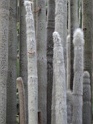 DSC07629