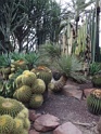 DSC07635