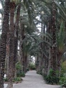 DSC07647