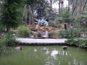DSC07648