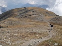 DSC07950