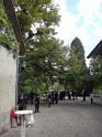 DSC08056