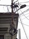 DSC08432