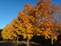 DSC09008