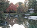 DSC09015